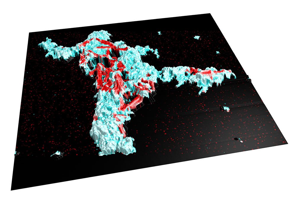 3D view of a correlative analysis of nanoparticles