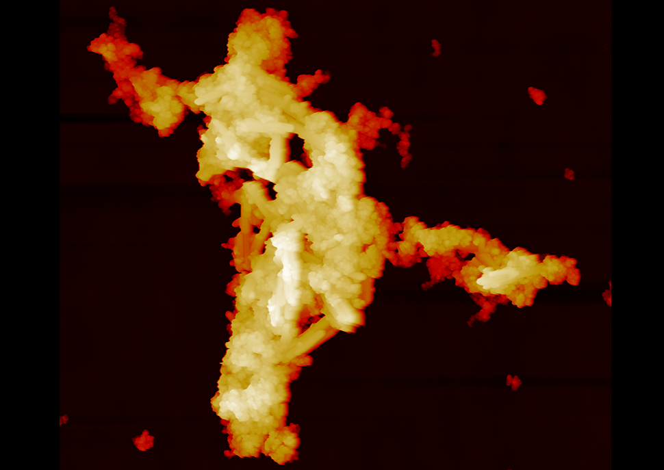 AFM image of a nanoparticle mixture