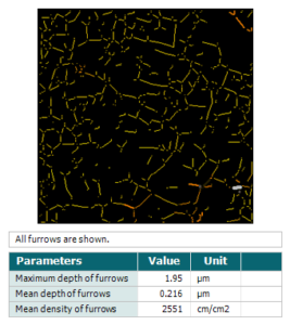 Furrows analysis with Mountains software